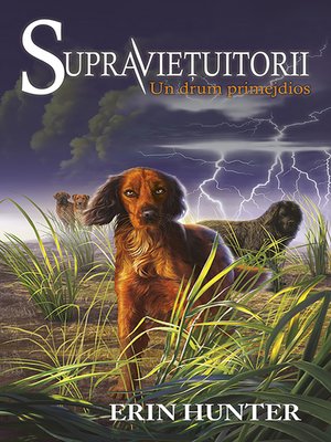 cover image of Supraviețuitorii. Cartea a IV-a--Un drum primejdios